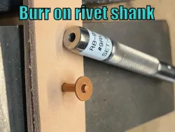 Rivet with bur